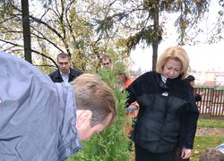 Акція "Посади дерево"
